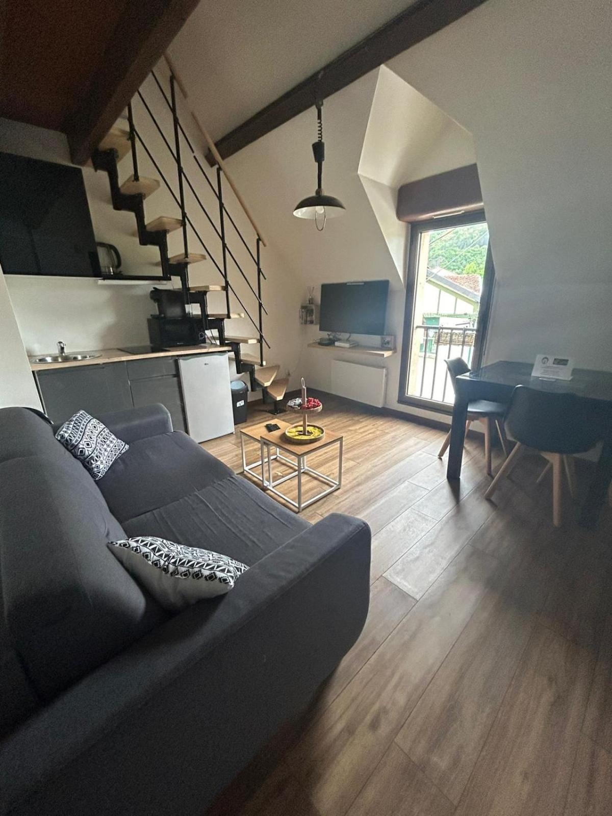Reve Divin T4 Avec Parking-barbecue-laverie-bagagerie-salle De Sport-aire De Jeux-climatise Lourdes